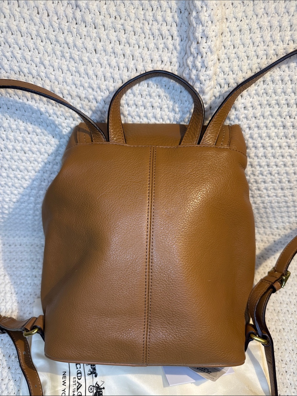 Coach Park Drawstring Backpack Tan - Picture 3 of 8